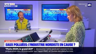 Eaux polluées dans le Nord-Pas-de-Calais: l'industrie en cause?