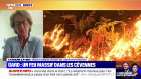 Gard: "La préfète va prendre un arrêté" interdisant les feux d'artifice, indique la ministre Caroline Cayeux