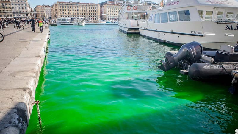 La nappe de liquide vert jeudi, en fin d'après-midi à Marseille. 