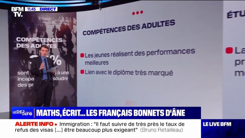 LES ÉCLAIREURS - Maths, écrit... 1/4 des Français ne maîtrisent pas les compétences de base, selon une étude de l'OCDE