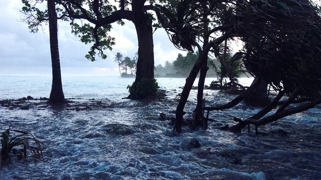 Les dégâts causés par un cyclone, sur un atoll des Iles Marshall, dans le Pacifique, en mars 2014 (photo d'illustration).