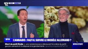 "Je ne vois que des points négatifs avec cette légalisation [du cannabis]": le vice-président de la région IDF opposé à suivre le modèle allemand