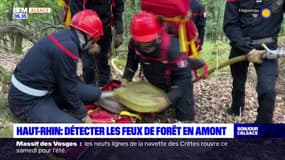 Haut-Rhin: un nouveau dispositif de lutte contre les feux de forêt mis en place