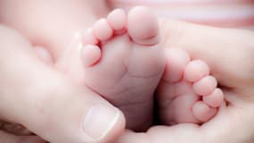 Image d'illustration