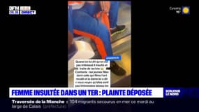 Femme insultée dans un TER: la région dépose plainte