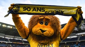 FC Sochaux (illustration)