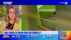 Le Café des Sorties: atelier d'éveils, musée zoologique... Les bons plans familiaux du week-end
