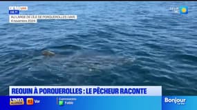 Var: le pêcheur qui a repéré un requin blanc raconte