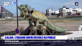 Calais: l'Iguane dévoilé au public