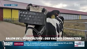 La chronique d'Anthony Morel : Des vaches connectées au Salon de l'agriculture - 24/02