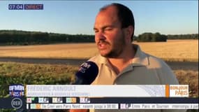 Sécheresse en Ile-de-France: "les dégâts sont déjà fait", selon Frédéric Arnoult, agriculteur dans l'Essonne, qui prévoit une perte de rendement "de 20 à 40%" 