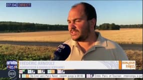 Sécheresse en Ile-de-France: "les dégâts sont déjà fait", selon Frédéric Arnoult, agriculteur dans l'Essonne, qui prévoit une perte de rendement "de 20 à 40%" 