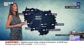 Météo Paris-Ile de France du 9 février: vague de froid dans la région