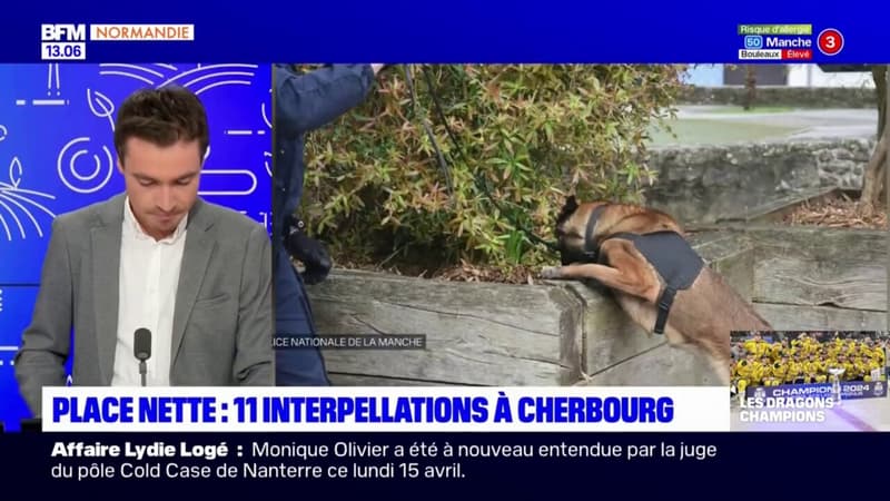 Cherbourg-en-Cotentin: 11 interpellations lors de l'opération Place nette