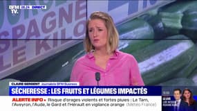 Avec la sécheresse, les prix des fruits et légumes flambent