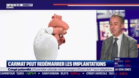 Stéphane Piat: "les dès sont lancés" ce soir pour la certification CE du cœur Carmat