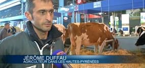 Salon de l'agriculture: les exposants attendent les politiques de pied ferme