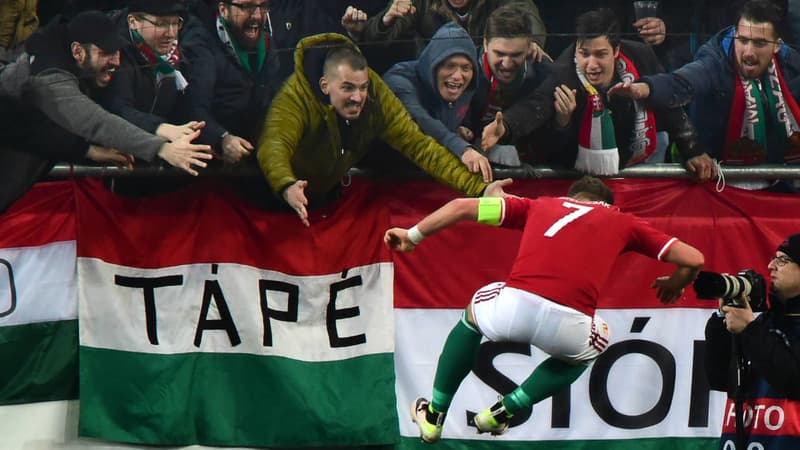L'équipe de Hongrie en match amical face à la Croatie. 