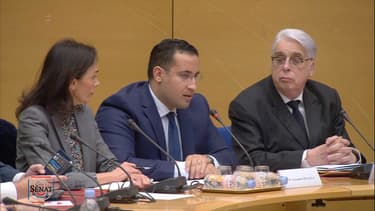 Alexandre Benalla devant les sénateurs.
