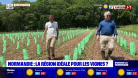 Normandie: la région idéale pour les vignes?