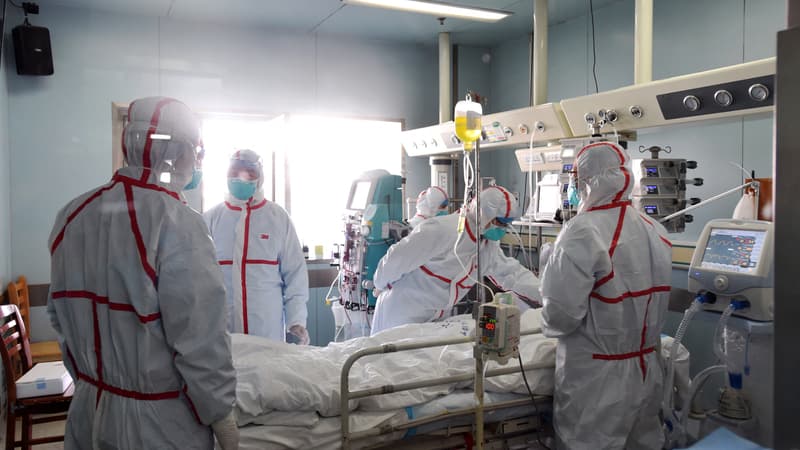 Chine: une première personne meurt de la grippe aviaire H3N8