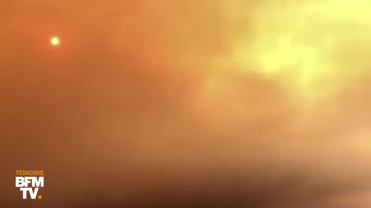 placeholder video