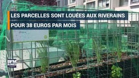 Un potager urbain futuriste s'installe sur un toit de Paris