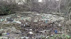 Une décharge sauvage dans un bras de la Seine dans les Yvelines.