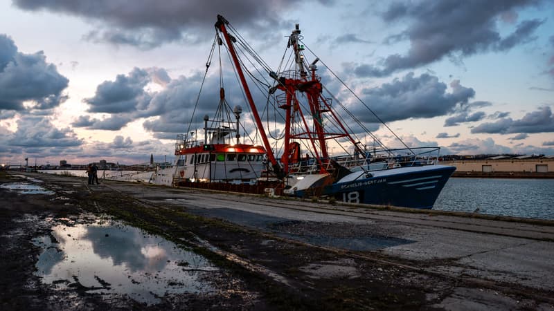 Pêche: pourquoi l'Union Européenne a rejeté l'interdiction du chalutage de fond