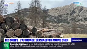 Les Orres: l'affouage, se chauffer moins cher