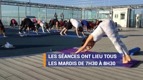 Du yoga au sommet de la Tour Montparnasse, ça vous dit ?