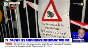 Seine-et-Marne: une rue fermée le soir pour préserver les amphibiens