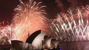 Ce voyage permet de profiter du feu d'artifice tiré chaque année dans le port de Sydney.