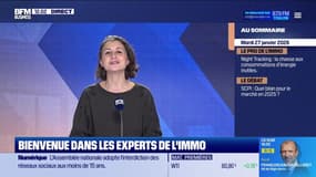 Les Experts de l'immo : Les SCPI reprennent des couleurs en 2025 - 27/01