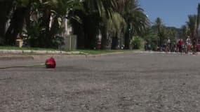 L'enquête sur l'attentat de Nice présentée aux victimes: "Ca ne peut qu'apaiser"