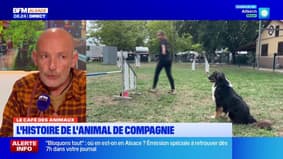 Café de l'info: histoire des animaux de compagnie et bouchée à la reine alsacienne