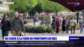 Alpes-de-Haute-Provence: la foire de printemps à Riez
