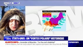 Les États-Unis et le Canada sous un "vortex polaire" historique 