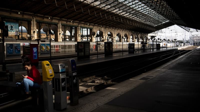 en région parisienne le trafic sera normal sur le RER A tandis qu'il faudra compter avec un train sur deux sur la partie nord du RER B
