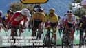 Tour de France : Guimard voit "une dizaine de coureurs pratiquement au même niveau"
