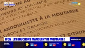 Lyon: les bouchons face à la pénurie de moutarde