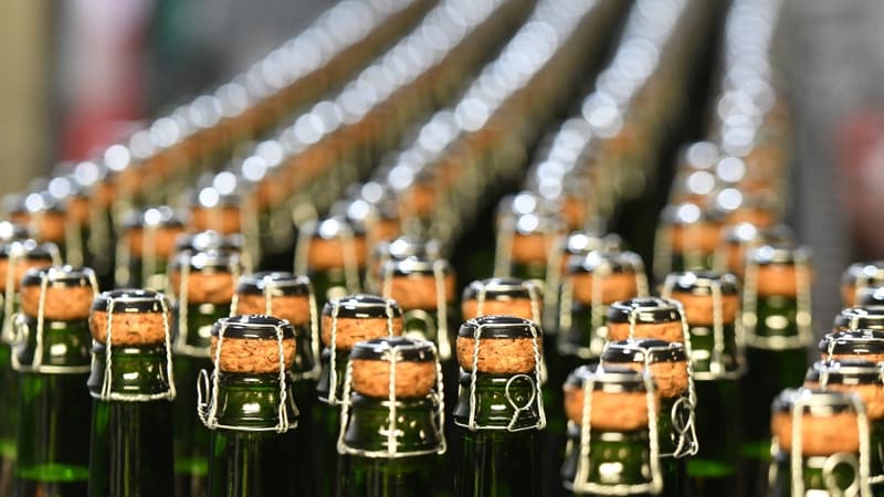 Une production qui s'est contractée de 95%: pourquoi les Français ne boivent plus de cidre ?