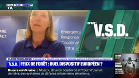 Feux de forêt: "Tous les pays européens sont touchés", affirme Claire Kowalewski, colonelle de la Sécurité civile