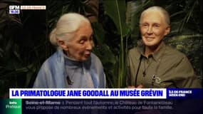 Paris: la primatologue Jane Goodall entre au musée Grévin