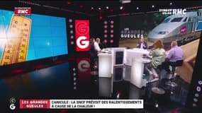 Le monde de Macron: Pass sanitaire européen, premier échec de la majorité à l'Assemblée ? - 13/07