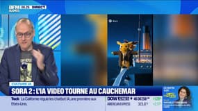 Culture IA :Sora 2, l'IA vidéo tourne au cauchemar, par Anthony Morel - 14/10