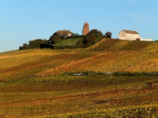 La commune de Mailly-Champagne, près de Reims, en octobre 2013 (PHOTO D'ILLUSTRATION).