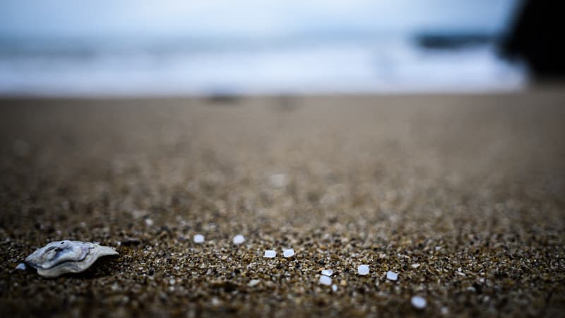 Finistère: des centaines de billes de plastique retrouvées sur une plage