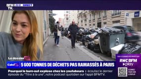 Raphaëlle Rémy-Leleu: "Je ne ferai pas partie de ces élus qui veulent se placer du côté des briseurs de grève"