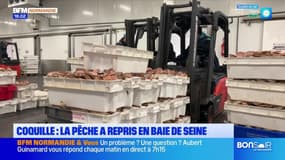 Le journal de 18h du mardi 4 novembre 2025